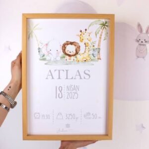 images Doğum Panosu